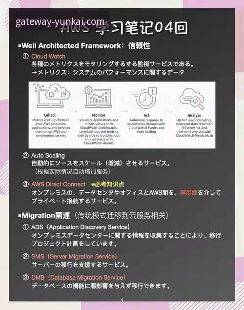 资深用户分享：云开官网安全可靠官方下载的实战经验与使用心得