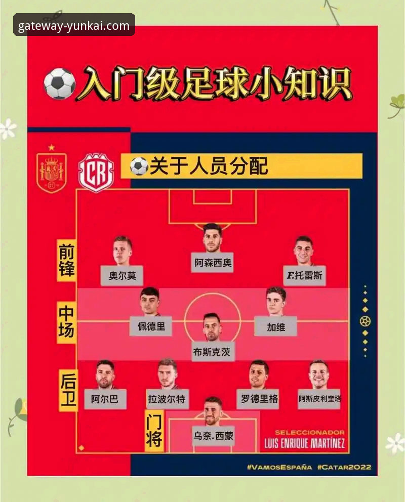 解析意大利足球困境：从世界杯出局到未来展望的完整指南